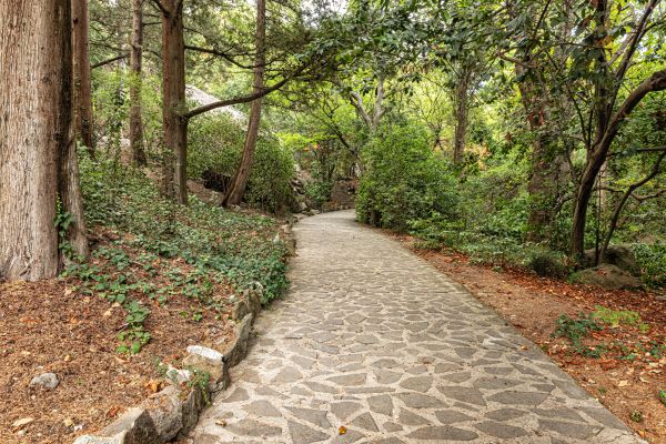 Stone Walkway Repair in Shelton