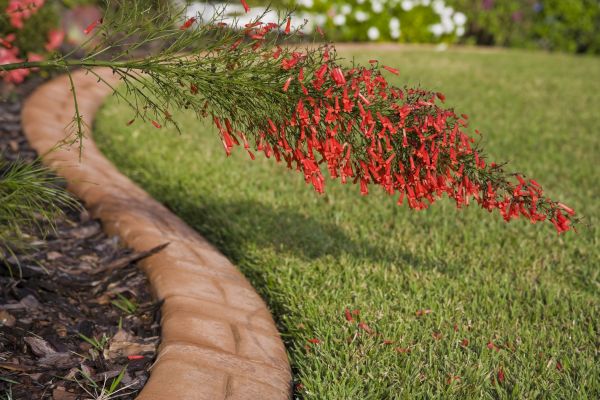 Brick Edging in Shelton