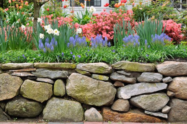 Stone Wall Hardscaping in Shelton