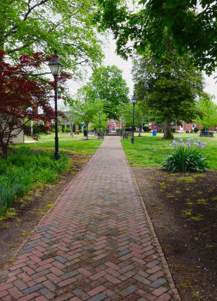Brick Pathway Repair in Shelton