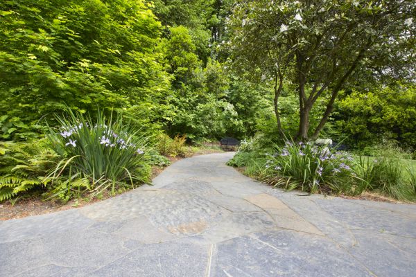 Stone Hardscape Service in Shelton